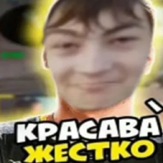 👍 emoji Тима раков 2022 (@Noname1547646) Telegram sticker 4 of 33