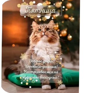 Sticker from Православные Открытки @korolpupsikov