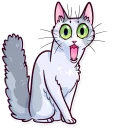 Sticker from Meme Cats
