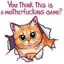 😐 emoji Meme Cats Telegram sticker 24 of 35