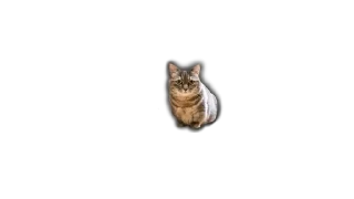 💛 emoji ебучии шарики @Komaru_World Telegram sticker 17 of 120