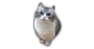 🩷 emoji ебучии шарики @Komaru_World Telegram sticker 10 of 120