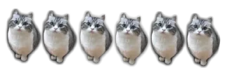 🩷 emoji ебучии шарики @Komaru_World Telegram sticker 13 of 120