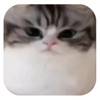 🩷 emoji ебучии шарики @Komaru_World Telegram sticker 4 of 120