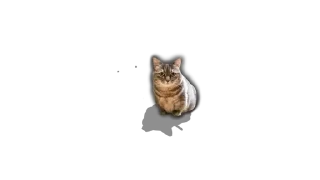 💛 emoji ебучии шарики @Komaru_World Telegram sticker 18 of 120