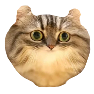 💛 emoji ебучии шарики @Komaru_World Telegram sticker 7 of 120