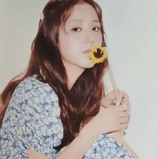 Sticker from ۰. ݁⸙ jisoo | gf ִֶָ by @m2e58l