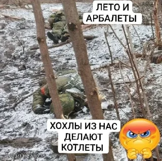 🌟 emoji МЕРТВІ РУСЬКІ СВИНІ Telegram sticker 9 of 29