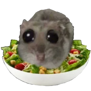 😏 emoji Милый хомяк • @WeStickerbot Telegram sticker 8 of 119