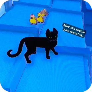 🐶 emoji Биг кити в биг сити Telegram sticker 16 of 52