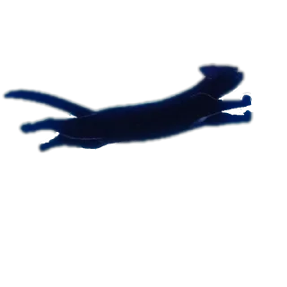 👍 emoji Биг кити в биг сити Telegram sticker 11 of 52