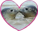 Sticker from Cute