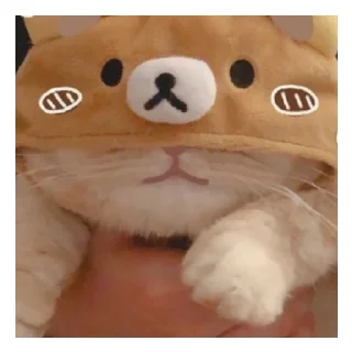 Sticker from Котики