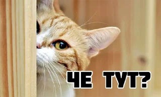 Sticker from Котики