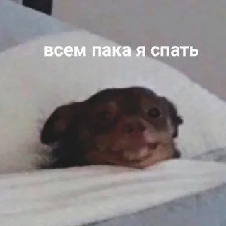 💤 emoji Спокойной ночи @stickernayaa Telegram sticker 23 of 49