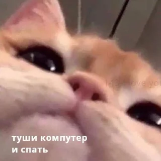 💤 emoji Спокойной ночи @stickernayaa Telegram sticker 19 of 49