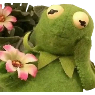 😃 emoji Frog Telegram sticker 23 of 30