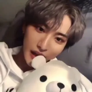 🐻 emoji seonghwa Telegram sticker 11 of 29