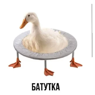 😄 emoji Мемы от Евы) Telegram sticker 5 of 15