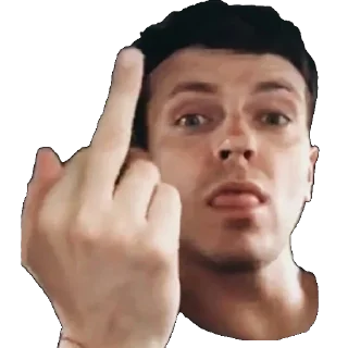 🖕 emoji Самые пиздатые Telegram sticker 24 of 43
