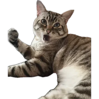 🌟 emoji Маффин Telegram sticker 8 of 40