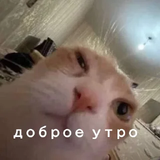 🫣 emoji Юра лох Telegram sticker 15 of 45