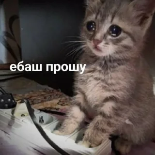 😢 emoji Юра лох Telegram sticker 10 of 45