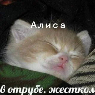 🥱 emoji Юра лох Telegram sticker 22 of 45