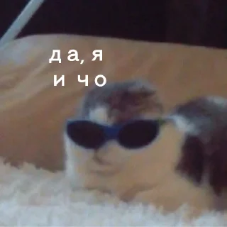 😎 emoji Юра лох Telegram sticker 16 of 45