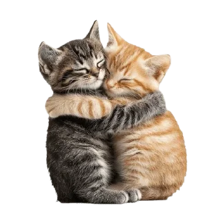 ❤️ emoji кискис Telegram sticker 18 of 27