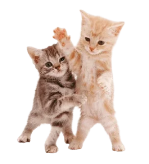 Sticker from кискис