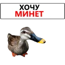 🔱 emoji Duck @TVstickers Telegram sticker 7 of 120