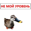 😞 emoji Duck @TVstickers Telegram sticker 10 of 120