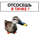 🚘 emoji Duck @TVstickers Telegram sticker 11 of 120