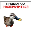 ❤ emoji Duck @TVstickers Telegram sticker 20 of 120