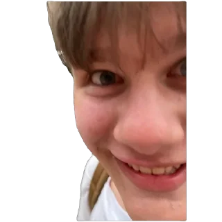 🫥 emoji 50 оттенков Врангеля Telegram sticker 19 of 33