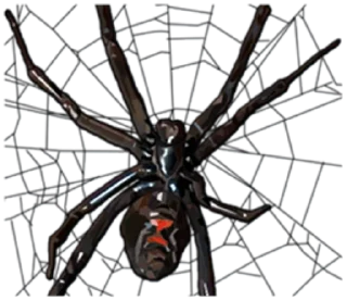 😡 emoji Spiders Time @stickersb2b Telegram sticker 11 of 38