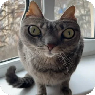 😜 emoji Арчи❤️ Telegram sticker 9 of 34