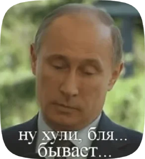 🌟 emoji 🐚 Early Shell Telegram sticker 24 of 30