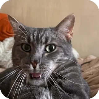 🤓 emoji Арчи❤️ Telegram sticker 24 of 34