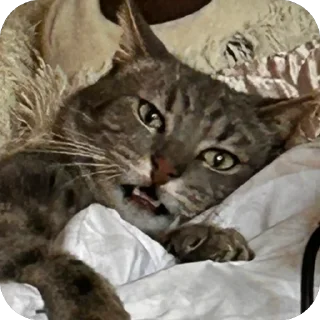 😠 emoji Арчи❤️ Telegram sticker 14 of 34