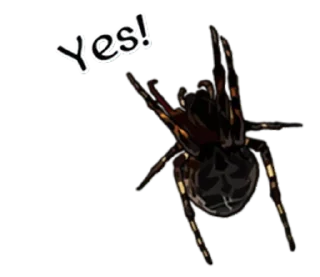 😰 emoji Spiders Time @stickersb2b Telegram sticker 21 of 38