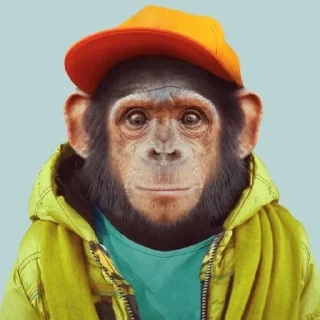 🌟 emoji Макаки Telegram sticker 8 of 120