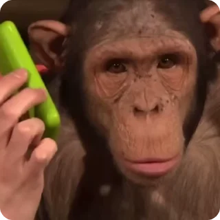 📞 emoji Monkey228 from Jordananas Telegram sticker 8 of 50