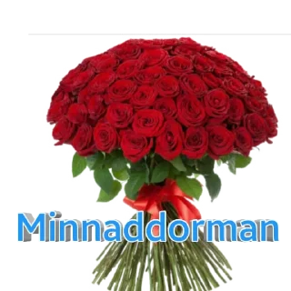 💎 emoji Samina silver unversalniy internet magizin shop Telegram sticker 12 of 15