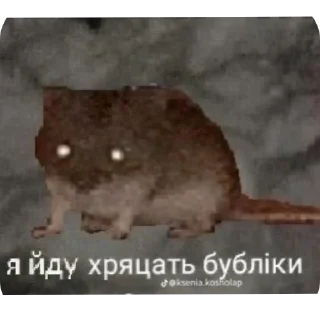 🐱 emoji Набор Telegram sticker 20 of 120