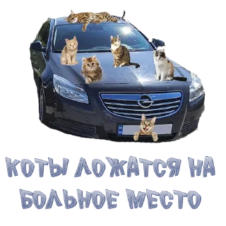🚑 emoji opel forever Telegram sticker 20 of 20