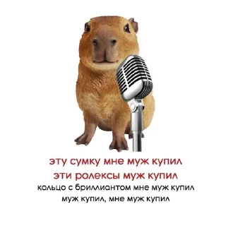 ☠ emoji сема лох Telegram sticker 2 of 17