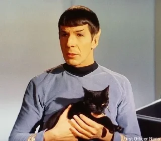 🐈‍⬛ emoji Star Trek TOS Telegram sticker 13 of 21