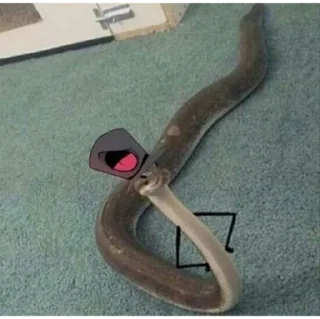 🐍 emoji отель Telegram sticker 17 of 37